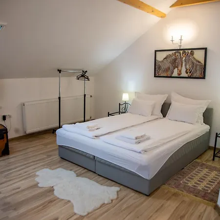 Centar 斯雷姆斯基卡尔洛夫奇