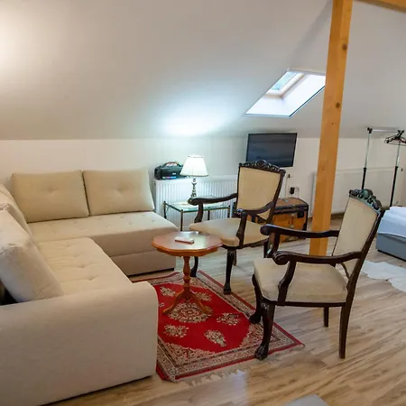 Centar Apartman Sremski Karlovci