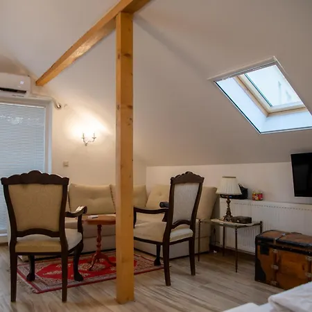 公寓 Centar 斯雷姆斯基卡尔洛夫奇