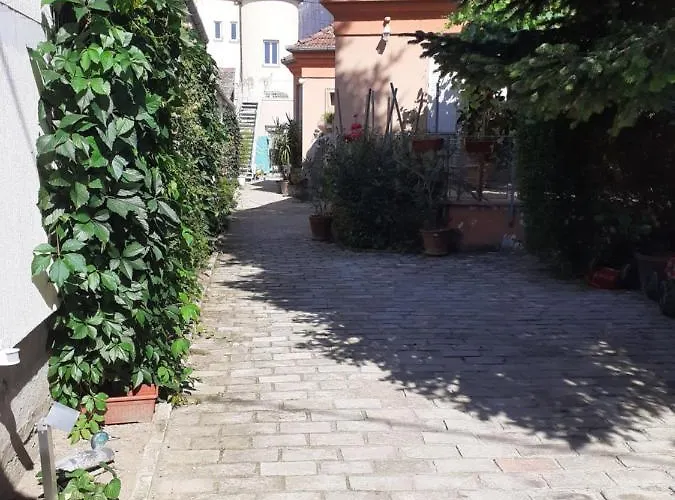 Centar * 스렘스키카를로브치