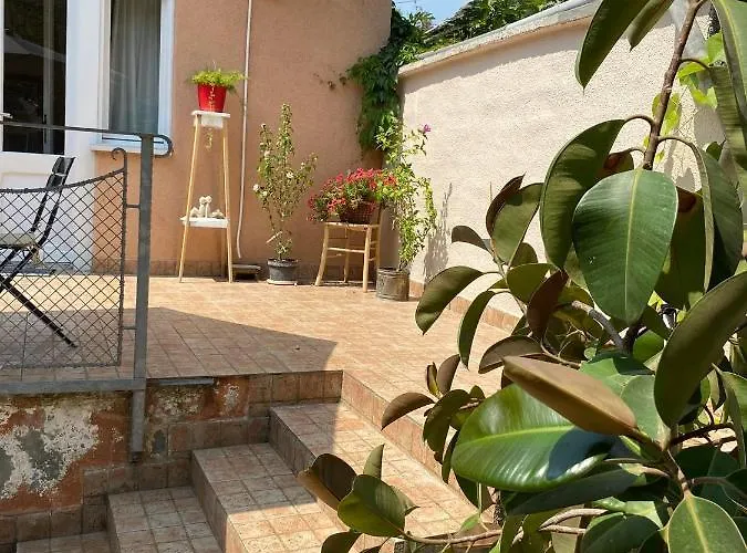 Centar 스렘스키카를로브치