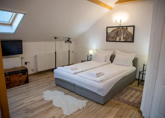 Centar 스렘스키카를로브치