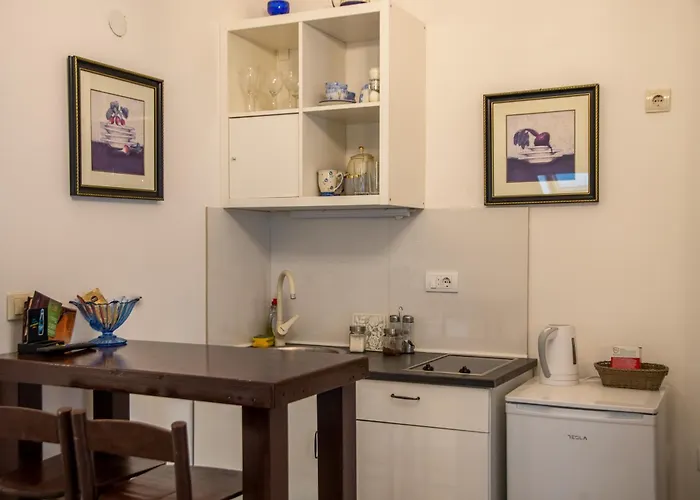 Centar 스렘스키카를로브치