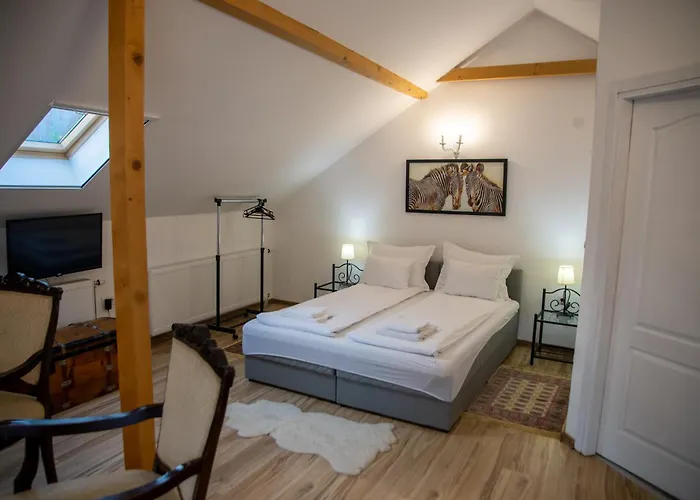 아파트 Centar 스렘스키카를로브치