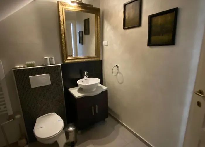 Centar * 스렘스키카를로브치